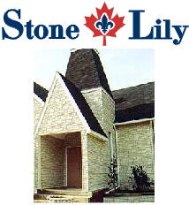   Stone Lily